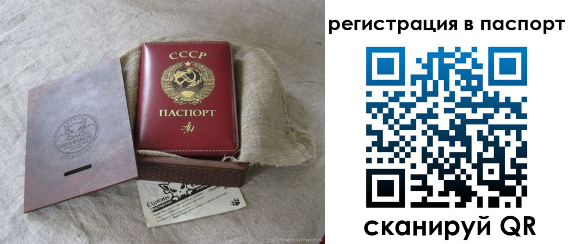 где прописаться в Камчатской области